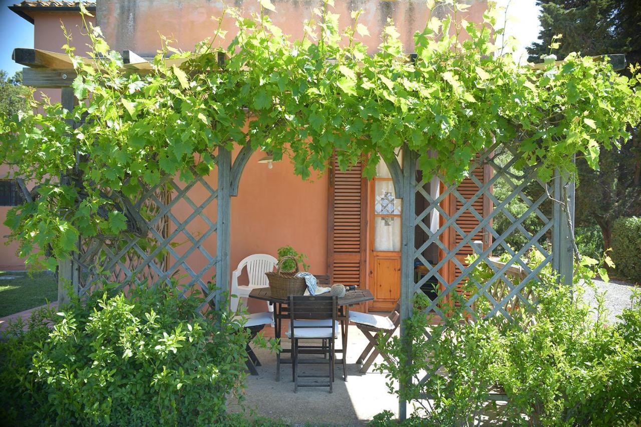 Agriturismo Le Cerbonche Розиньяно-Мариттимо Экстерьер фото